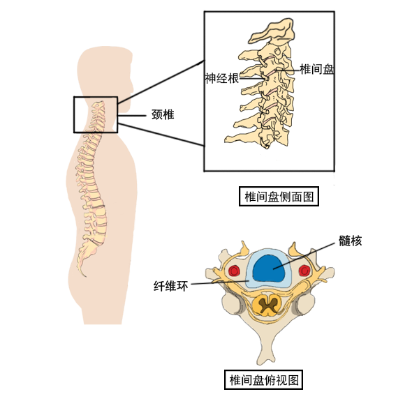 微信圖片_20230725161207.png